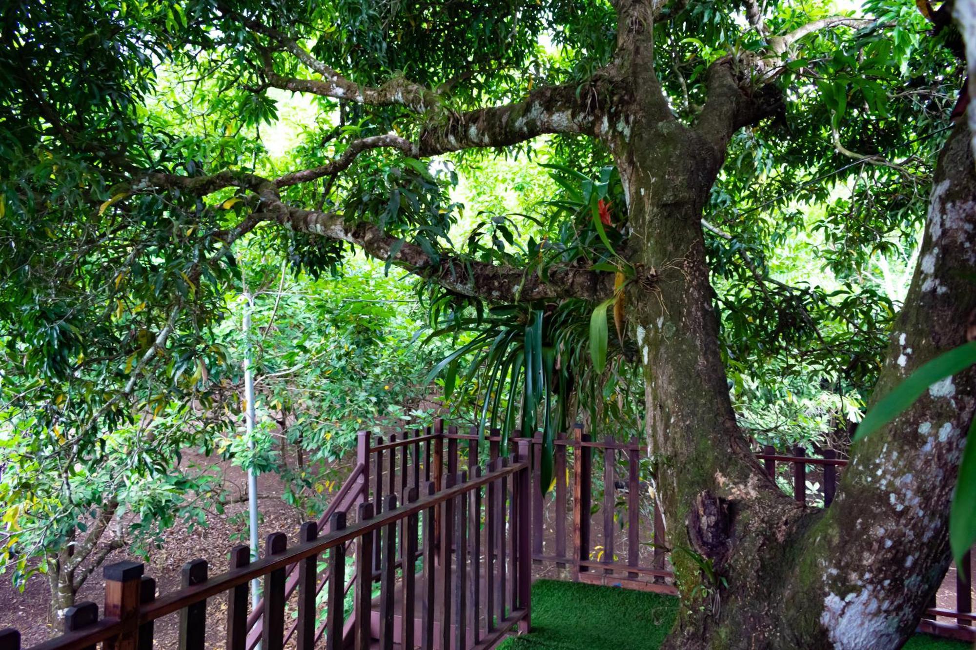 Hotel Heliconias Nature Inn & Hot Springs La Fortuna Exterior photo